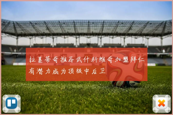 拉基蒂奇推荐武什科维奇加盟拜仁有潜力成为顶级中后卫